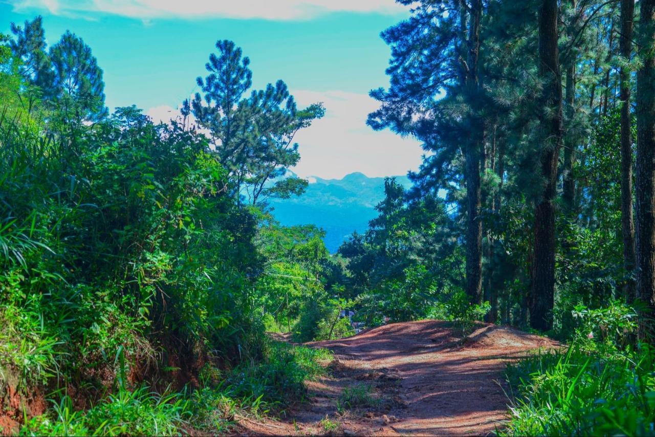 Lak Sewana Home Stay Kandy Buitenkant foto