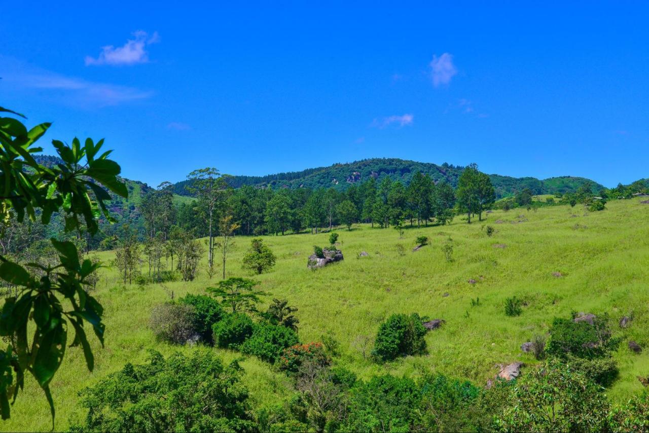 Lak Sewana Home Stay Kandy Buitenkant foto